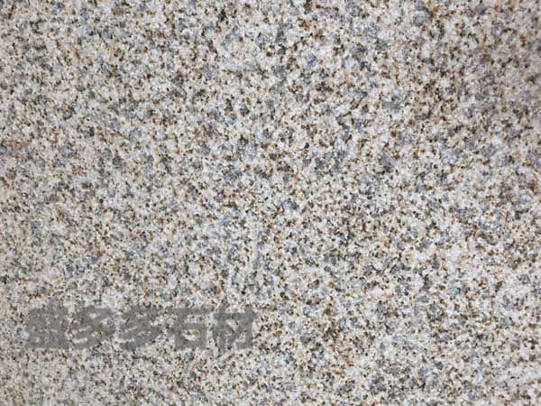 黃金麻(ma)荔枝面